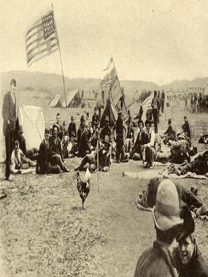 cover image of Yours for the Revolution